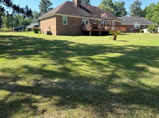 Suzanne Z.'s grass cutting service result