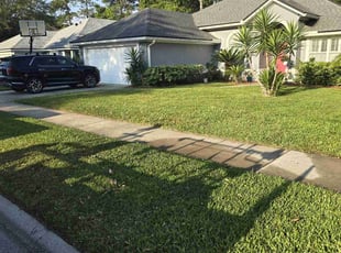 Margarita L.'s yard maintenance service result