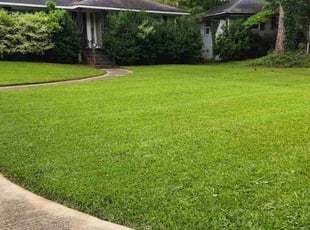 Yonika G.'s lawn care services service result