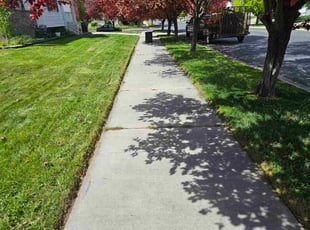 Katelyn S.'s lawn service service result