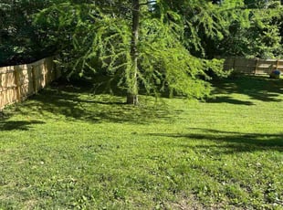 Llewellyn H.'s grass maintenance service result