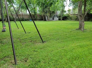 Angelique D.'s lawn care services service result