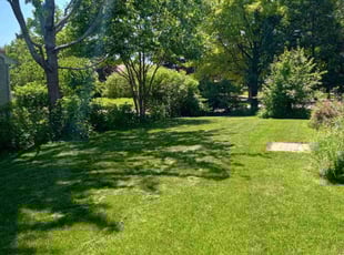 Gabby O.'s lawn care services service result