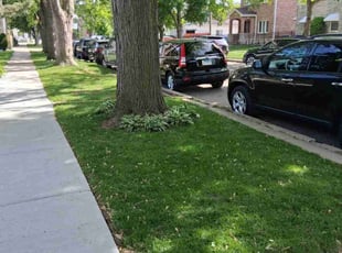 Tameka L.'s turf maintenance service result
