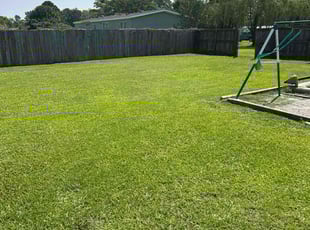 Tanisha F.'s lawn service service result