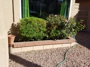 Brett O.'s Bush Trimming service result