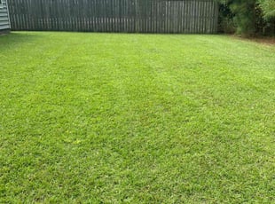 Brianna W.'s turf maintenance service result