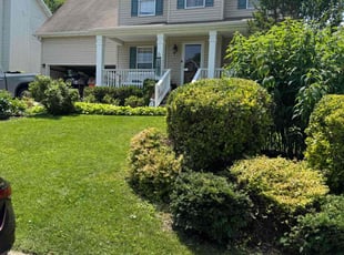 Joseph L.'s turf care service result