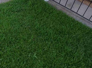 donecia s.'s lawn care service result