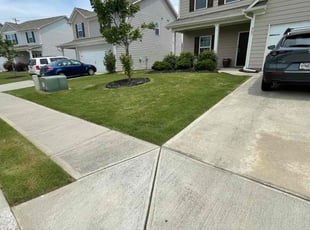 Kailee M.'s lawn care service result