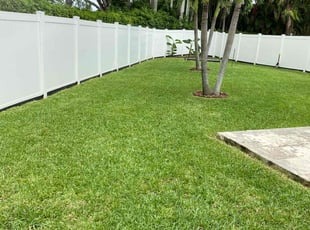 Jenee D.'s lawn care service result