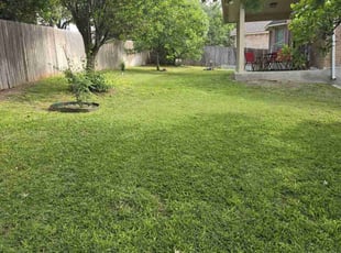 Sue W.'s grass maintenance service result