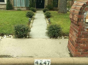 Alvin S.'s lawn care service result