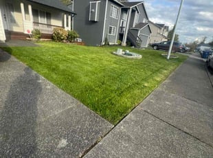 Pranjal T.'s lawn care service result