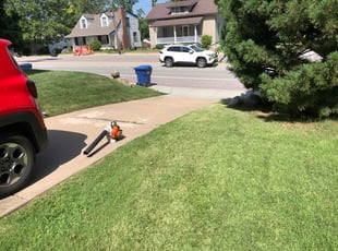 Debonair M.'s grass maintenance service result