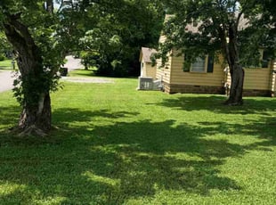 Barbara P.'s turf care service result