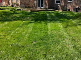Bobbie B.'s turf care service result