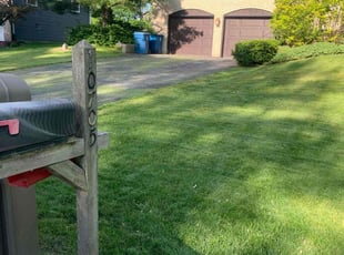 Michael A.'s turf maintenance service result