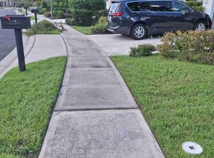 Dan M.'s yard work service result