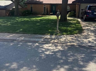 Shaqurah Z.'s turf maintenance service result