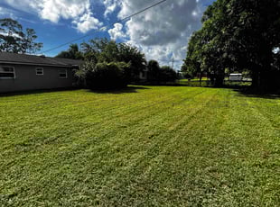 Donna M.'s grass cutting service result