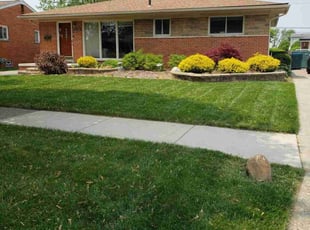 Katelyn R.'s lawn service service result
