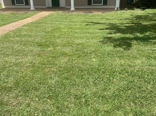 Katherine M.'s turf maintenance service result