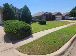 Patricia M.'s lawn service service result