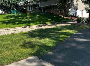 Anthony F.'s grass cutting service result