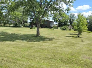 Nicholas S.'s turf care service result
