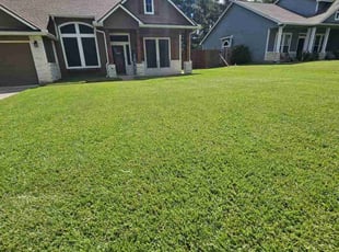 Donna D.'s lawn service service result