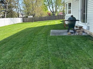 Dorothy H.'s yard work service result