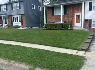 Mark T.'s lawn service service result