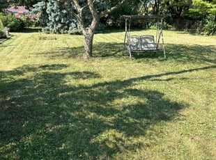 Shantel Z.'s grass cutting service result