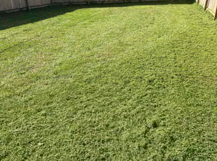 Lydia R.'s lawn care services service result