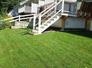 Briana C.'s turf care service result