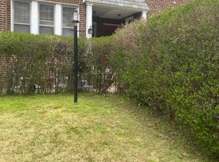Jetty K.'s Bush Trimming service result