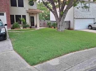 Lauren S.'s lawn care service result