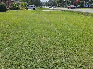 Edouard W.'s lawn service service result