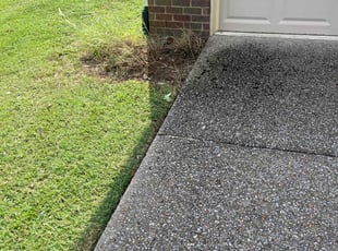 Tracy B.'s Bush Trimming service result