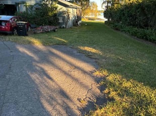 Francis T.'s turf care service result