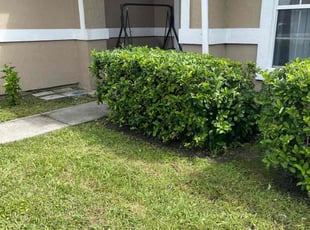 Satya S.'s Bush Trimming service result