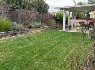 Robyn C.'s lawn care services service result