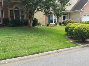 Leslie M.'s Bush Trimming service result