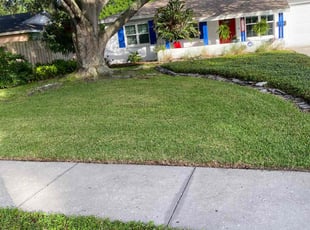 Carol W.'s turf maintenance service result