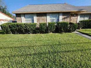Lydia S.'s Bush Trimming service result