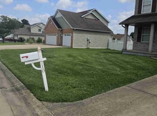 Mario B.'s yard care service result