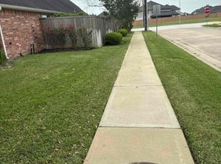 Vanessa F.'s lawn care services service result