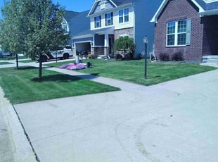 James K.'s lawn care service result