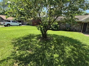 Sally Z.'s grass cutting service result